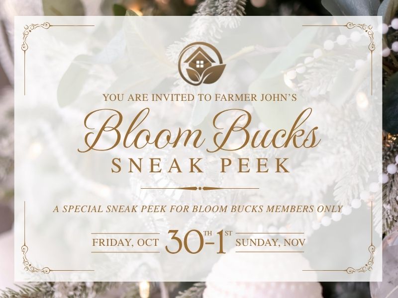 Bloom Bucks Holiday Sneak Peek – 2026